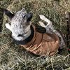 Carhartt Chore Coat, Dog Vest, Water Repellent Cotton Duck Canvas, Carhartt Brown, Large - Image 8